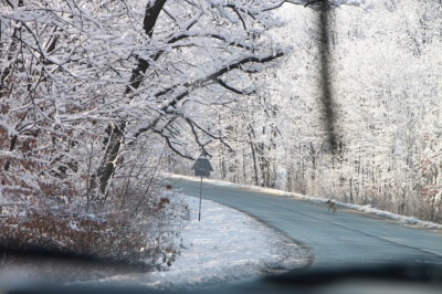 winter-curved-road